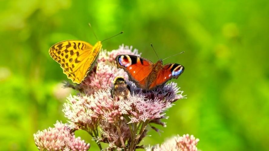 lycoming io 360 overhaul manual