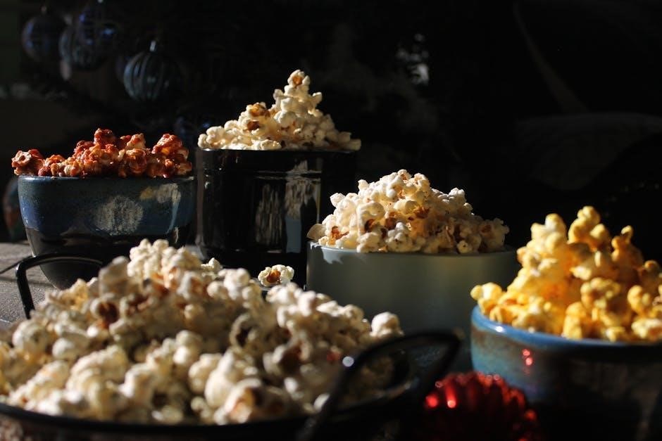 stir crazy popcorn maker instructions