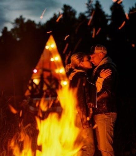 tender is the night pdf