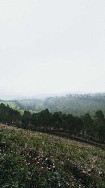 treadmill manual incline
