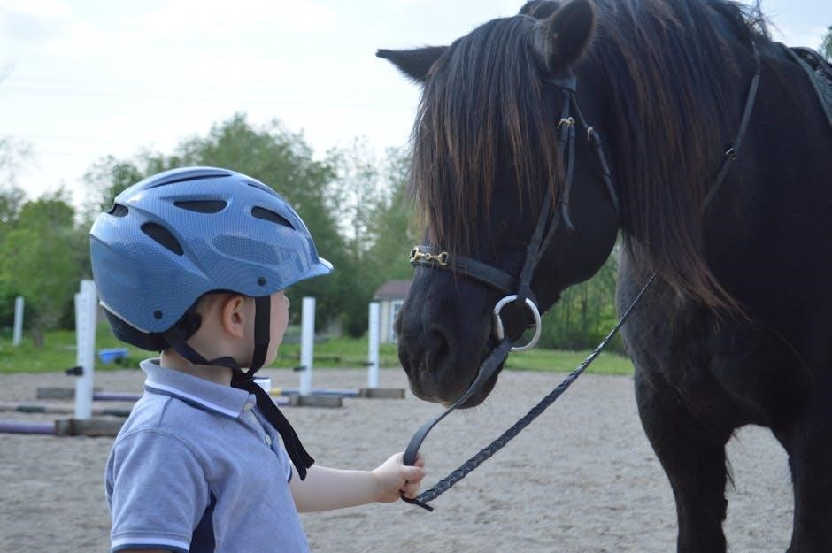 lead sheet association handbook pdf