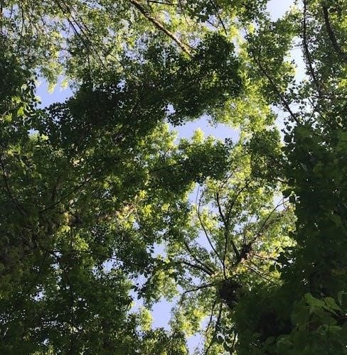 glow worm betacom 24c manual