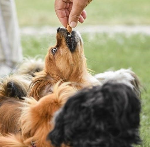 hill’s puppy food feeding guide