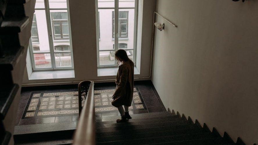 pdf the curious incident of the dog in the nighttime