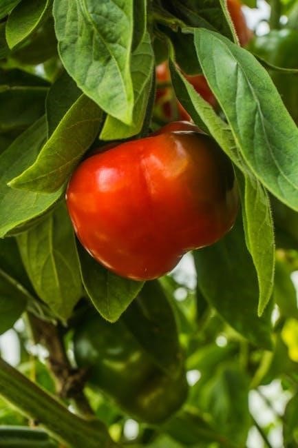 anti inflammatory foods list pdf