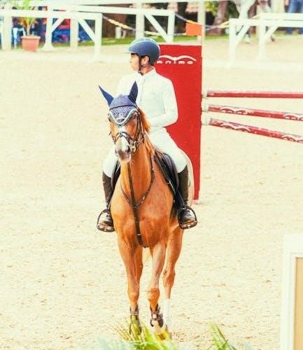 horse riding helmet size guide