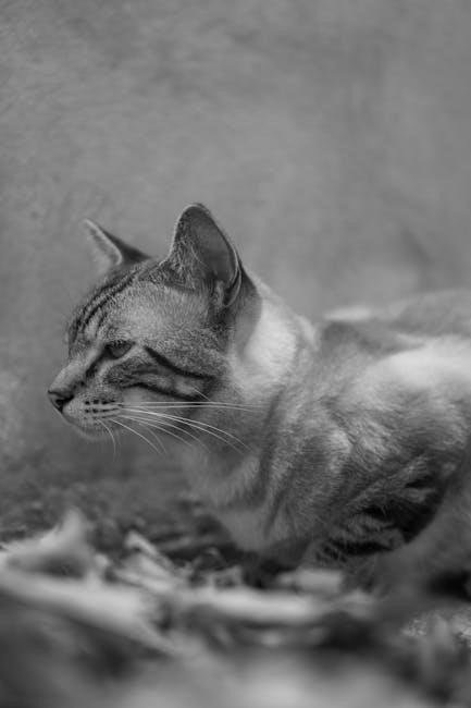 four gospels side-by-side pdf