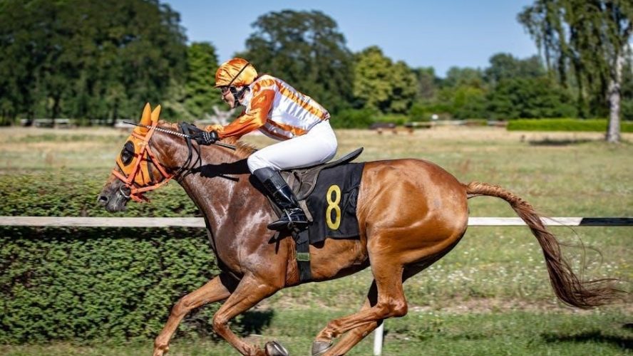 8 speed manual gearbox