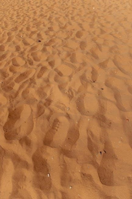 footprints in the sand poem pdf