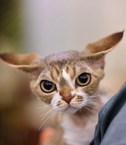 characteristics of effective learning pdf