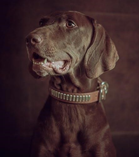 southeastern guide dogs florida