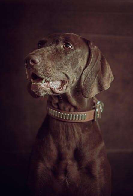 southeastern guide dogs florida