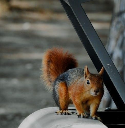 claudette colvin twice toward justice pdf