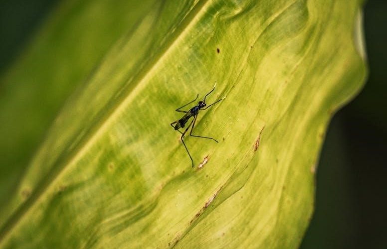 the way out alan gordon pdf free download