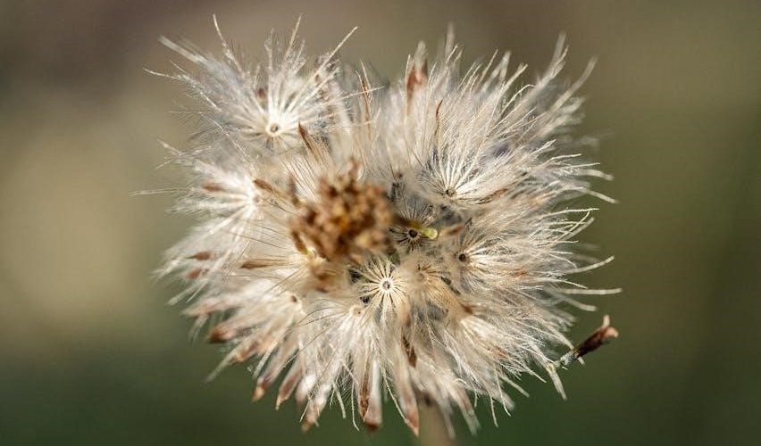 rst vol 3: spirit and salvation pdf free download