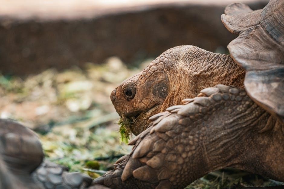 into the wild pdf free