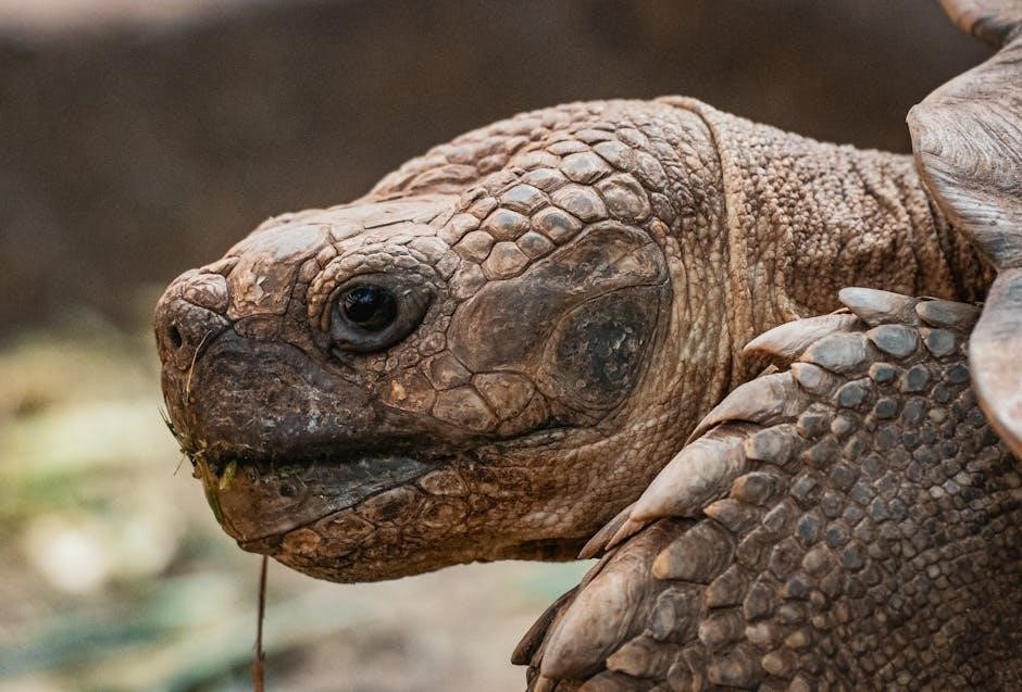 hebrew calendar 2024 pdf free download