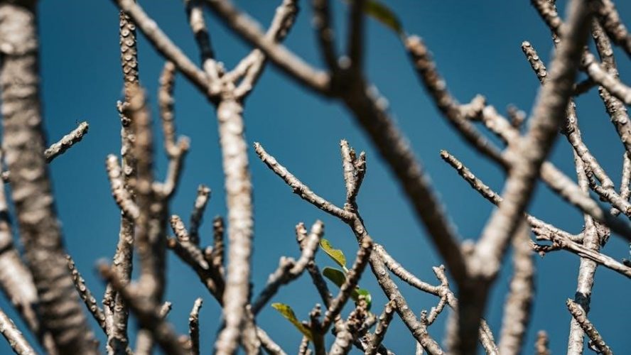 spiritual warfare prayers pdf free download