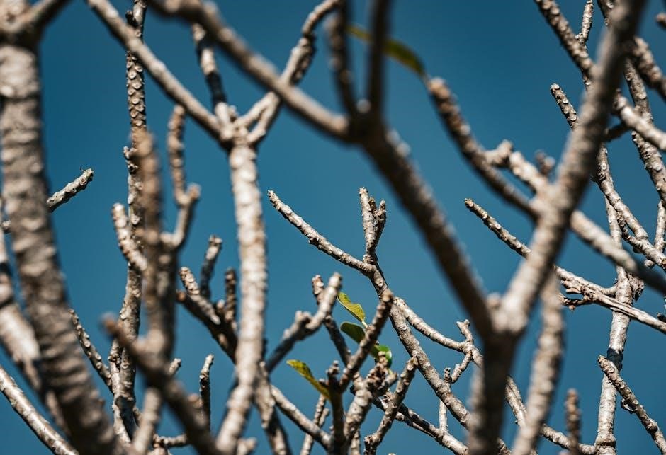 spiritual warfare prayers pdf free download