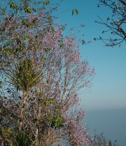 woobles patterns pdf free download