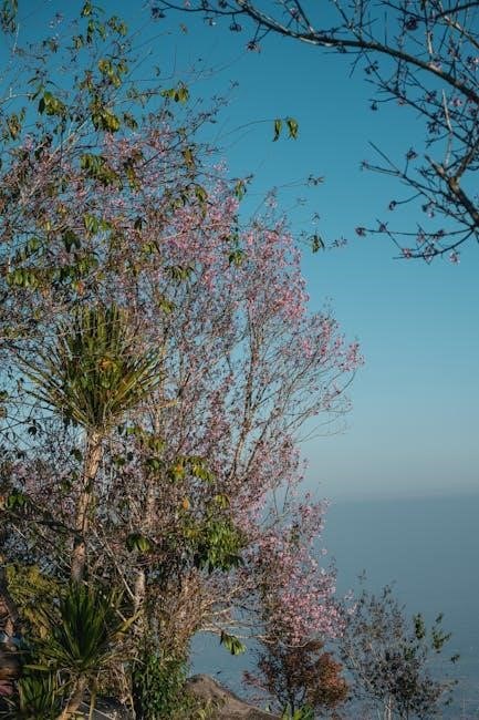 woobles patterns pdf free download