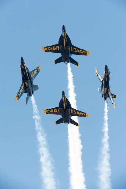 citizen blue angels watch manual pdf