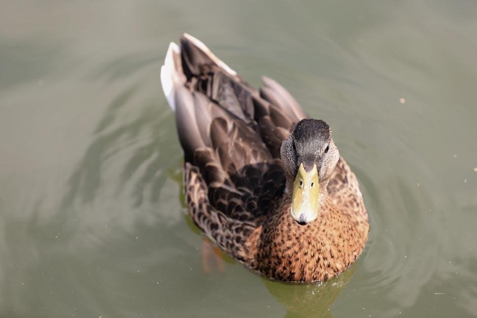 michigan duck hunting guides