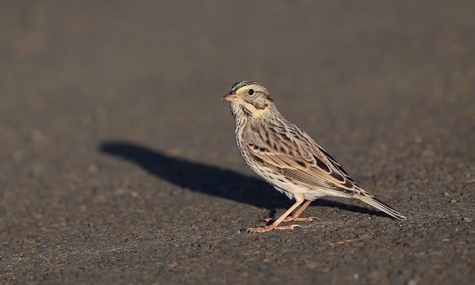 tv guide savannah ga