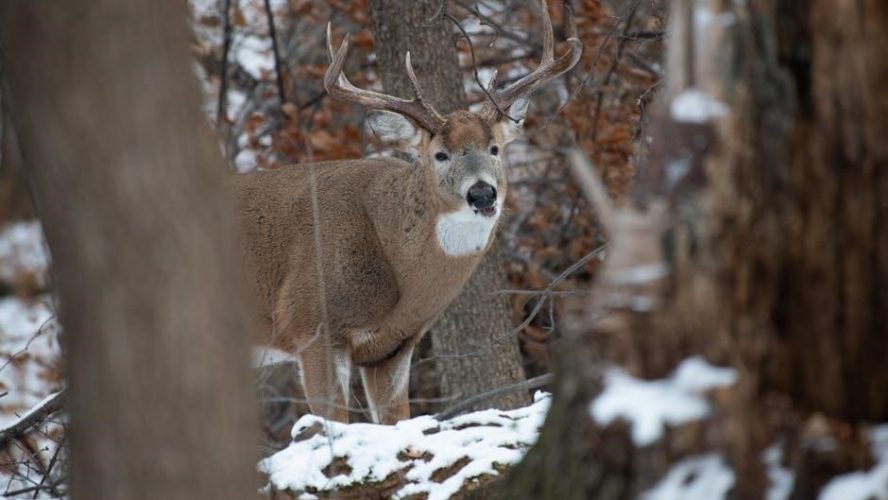 john deere 46” snow blade manual pdf