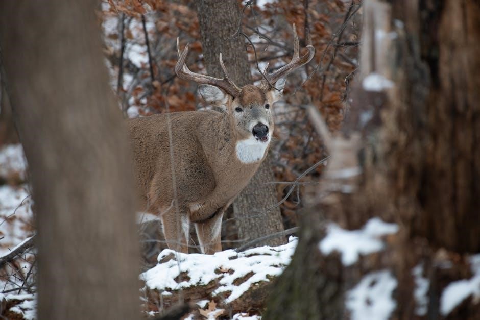 john deere 46” snow blade manual pdf