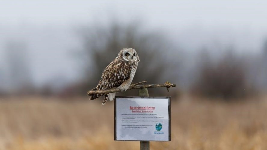 suncast 6′ x 5′ modern shed instructions