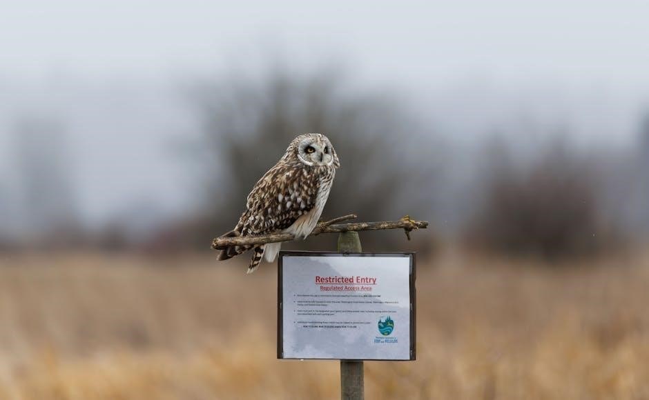 suncast 6′ x 5′ modern shed instructions