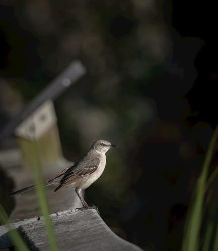 lady bird deed florida pdf