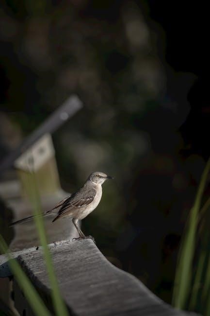 lady bird deed florida pdf