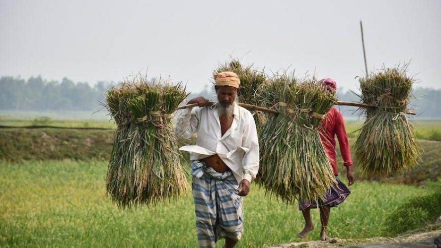 bangladesh arabic manual pdf