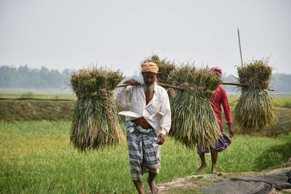 bangladesh arabic manual pdf