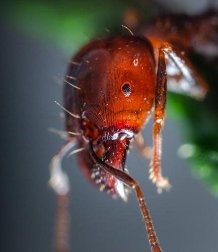 hey little ant book pdf