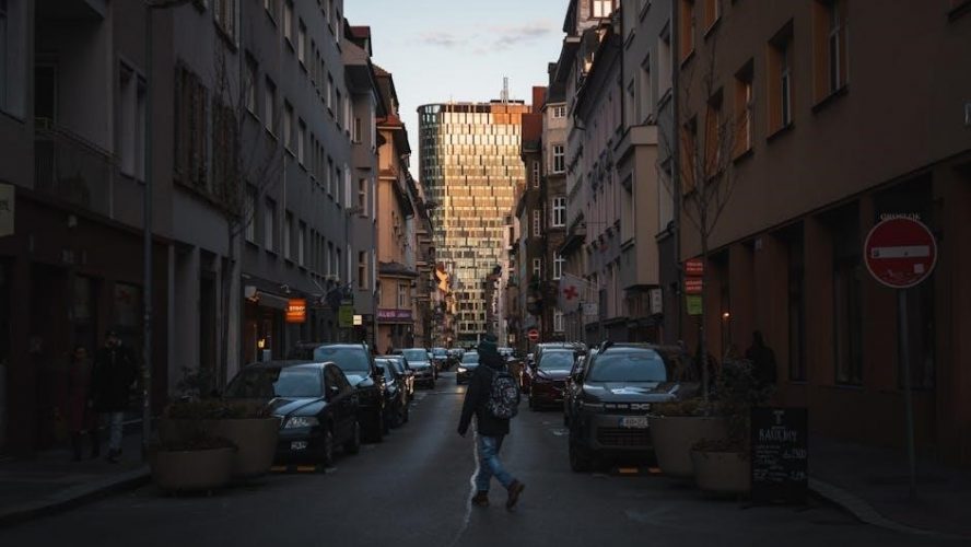 sim 8 bus schedule pdf