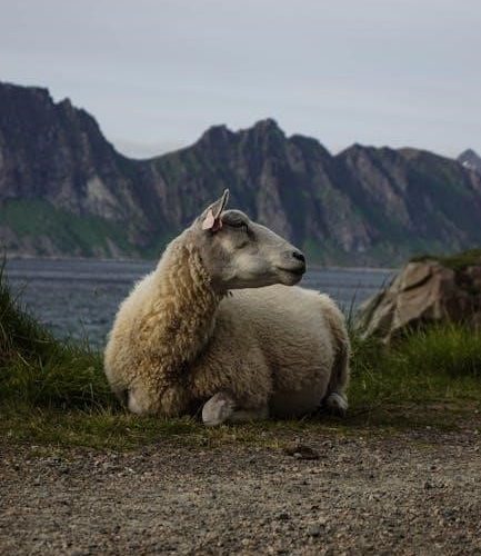 k-68 rf detector manual