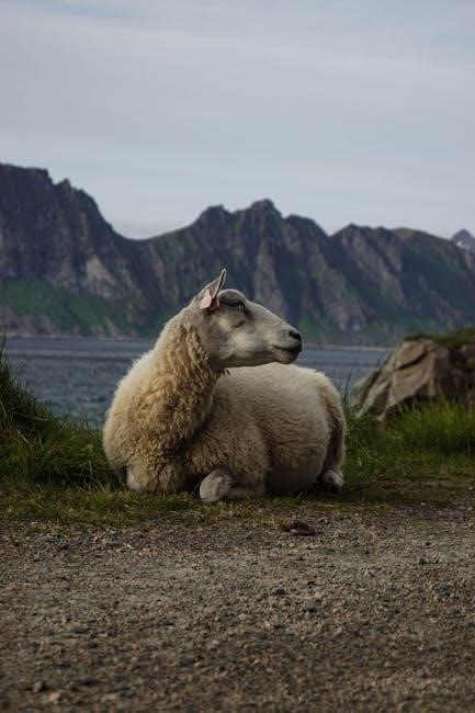 k-68 rf detector manual