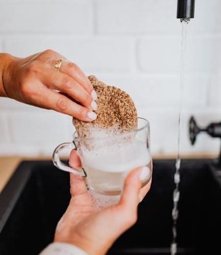 indesit fast and clean dishwasher manual