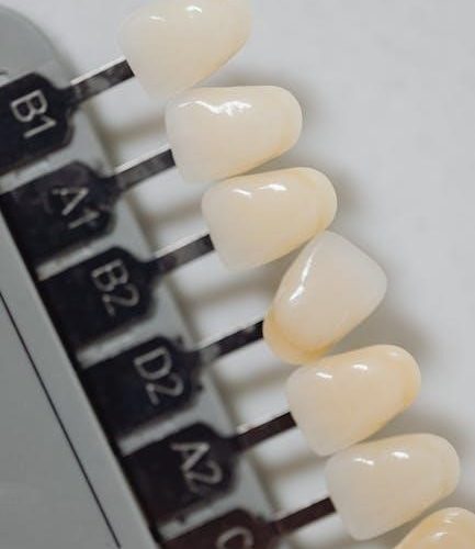 alberta dental fee guide 2023 pdf