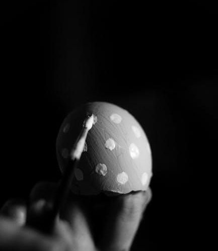 mymini egg cooker manual