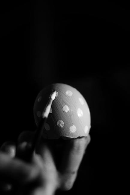 mymini egg cooker manual