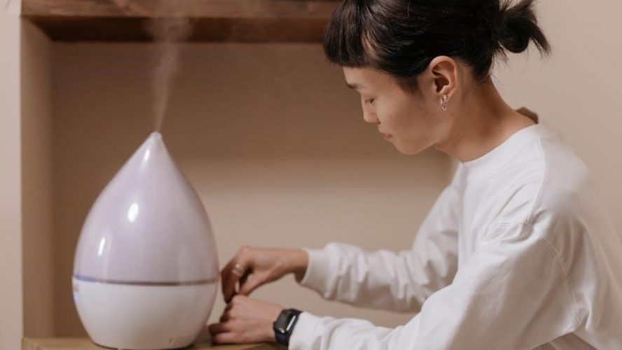 vicks warm mist humidifier user manual