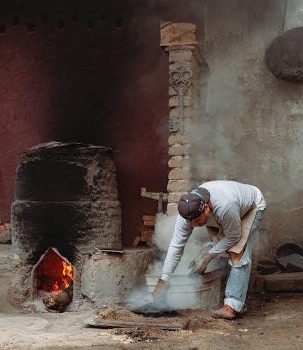 cozy wall furnace manual