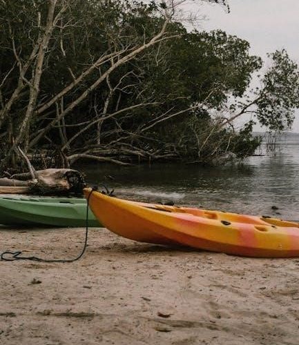 guide to purchasing a kayak