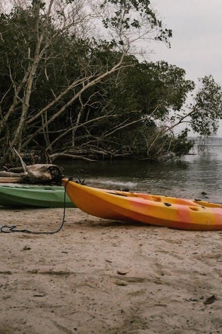 guide to purchasing a kayak